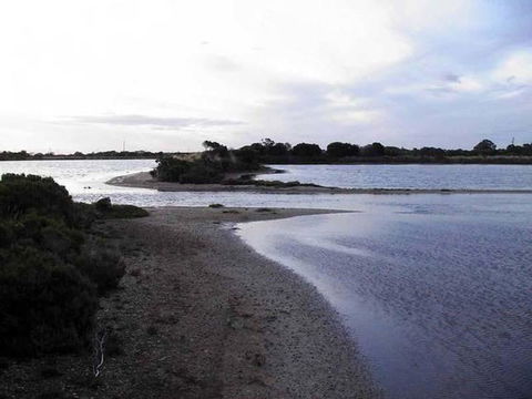 Absolute Waterfront - Accommodation NT 1