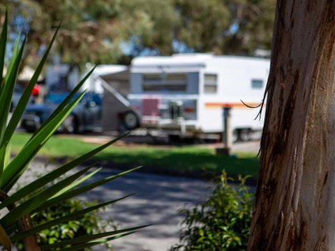 Echo Holiday Parks - Windsor Gardens - Accommodation NT 4