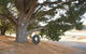 Emu Lodge Country Retreat - thumb 4