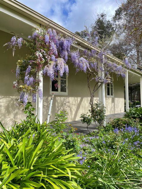 Fleetwood Cottage Bed And Breakfast - NT Tourism 4