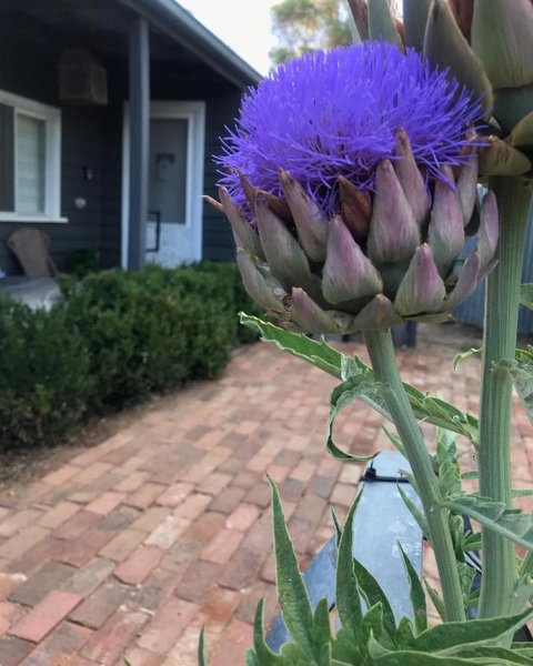 Fergusons Store - Accommodation NT 3