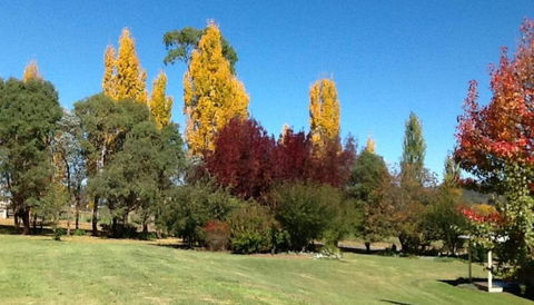 Glen Waverly Farmstay - Accommodation NT 3