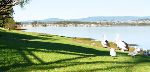 Golf Place Inn Wollongong - NT Tourism 3