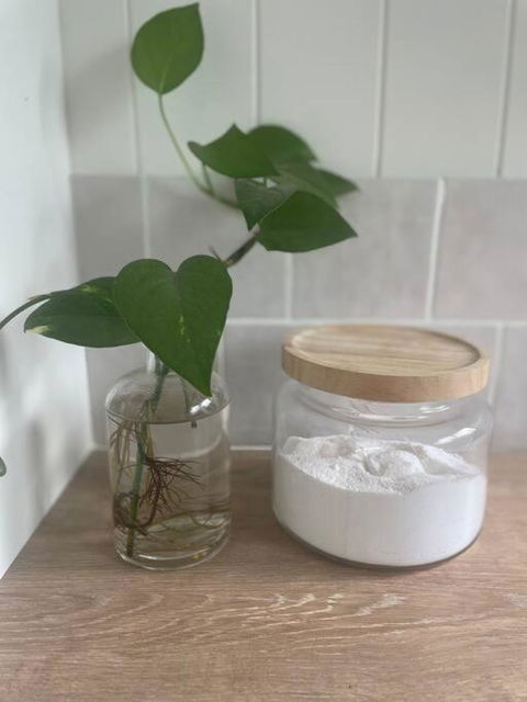 Gorgeous Arthouse Queenslander In Ipswich - Accommodation NT 3