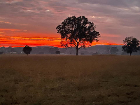 Graceland By Tiny Away - NT Tourism 0