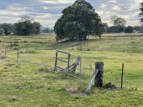 Graceland By Tiny Away - NT Tourism 2