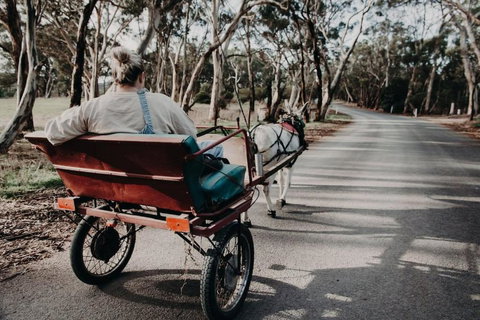 Gums N Roses By Tiny Away - Accommodation NT 1