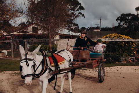 Gums N Roses By Tiny Away - Accommodation NT 3