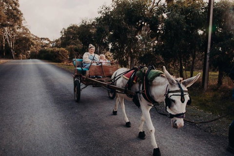 Gums N Roses By Tiny Away - Accommodation NT 2