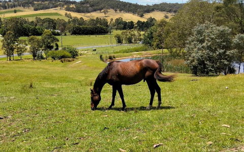Honeycomb Hill Of Yarra Valley - Accommodation NT 3