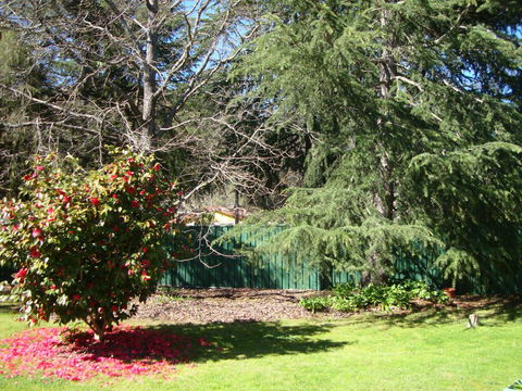 Ageri Holiday House - Accommodation NT 1