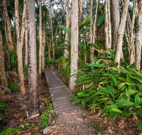 Agnes Palms Accommodation - Accommodation NT