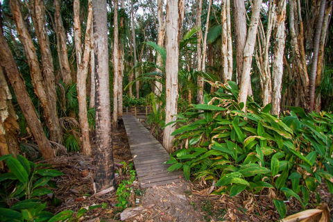 Agnes Palms Accommodation - Accommodation NT 0