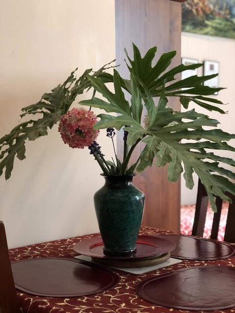 Albany Foreshore Guest House - NT Tourism 3