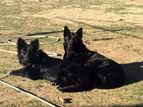 Alpine Country Motel - Accommodation NT 2