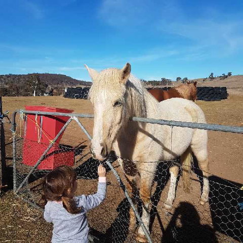 Alpine Country Motel - Accommodation NT 3
