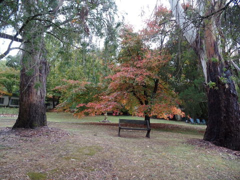 Alpine Park Riverside Cottages - Accommodation NT 2