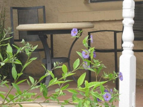 Amalie Cottage Waikerie - NT Tourism 0