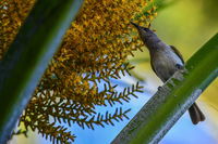 Book Karumba Accommodation Vacations Accommodation NT Accommodation NT