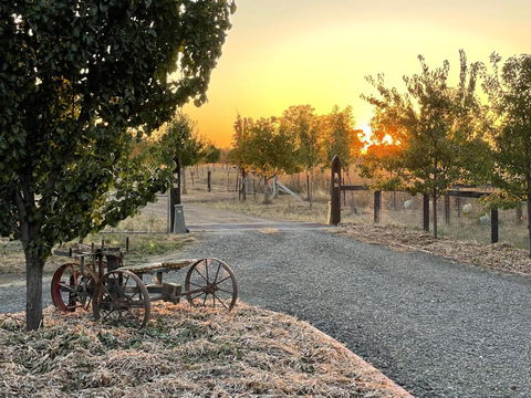 Maple Lane Farm Stay - Accommodation NT 0