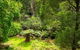 Millers Rest - thumb 3