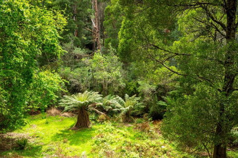 Millers Rest - NT Tourism 3