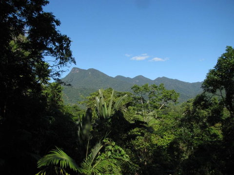 Mossman Gorge Bed And Breakfast - Accommodation NT 0