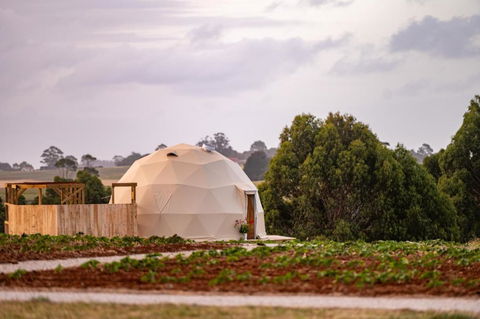 Mount Gnomon Farm - NT Tourism 0
