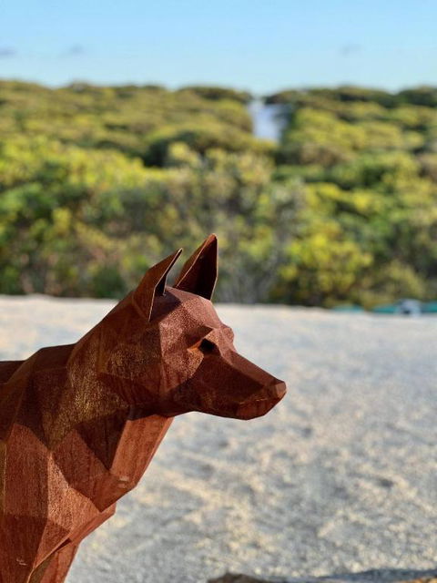 Native Dog Cabin - Accommodation NT 2