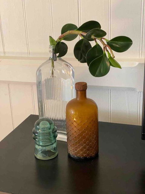 Nice To Have So Much Privacy With No Other Houses Near By - Accommodation NT 3