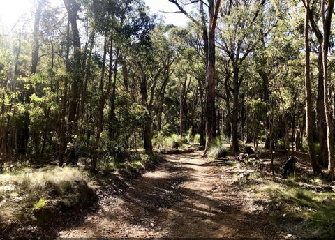 Northfield Boutique Apartments - Accommodation NT 1