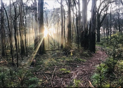 Northfield Boutique Apartments - Accommodation NT 2