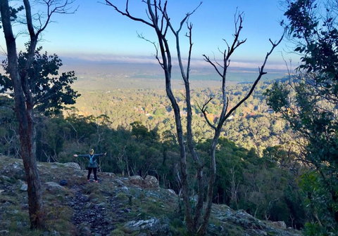 Northfield Boutique Apartments - Accommodation NT 3