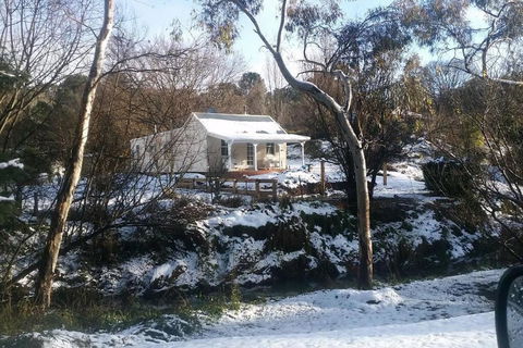 Old Oak Tree Cottage - Accommodation NT 1