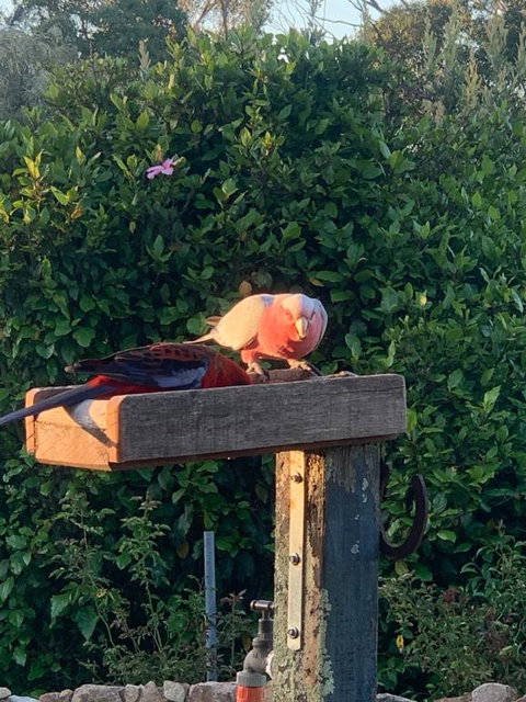 Pier 9 - NT Tourism 3