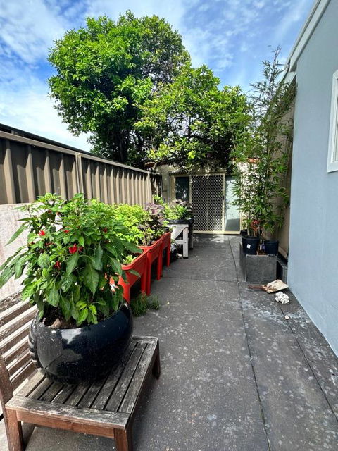 Private, Local Living Studio In Mascot, Airport - Accommodation NT 2