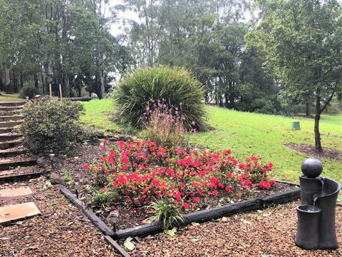 Ravensbourne Escape-Tree Tops - Accommodation NT 2