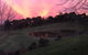Raynella Alpaca Farmstay - thumb 3