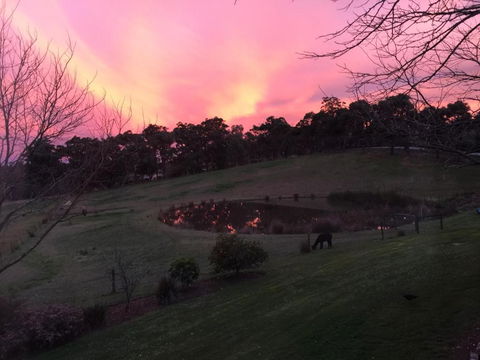 Raynella Alpaca Farmstay - NT Tourism 3