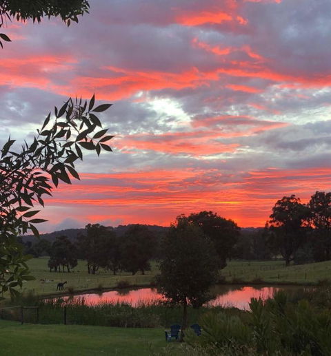 Raynella Alpaca Farmstay - NT Tourism 2