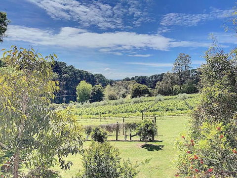 Red Hill Lane 5BedroomVineyard&RuralValleyViews - Accommodation NT 3