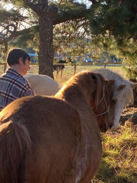 Private Country Escape With Valley Views - Accommodation NT 3
