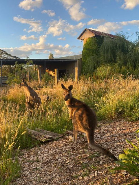 Private Country Escape With Valley Views - Accommodation NT 2