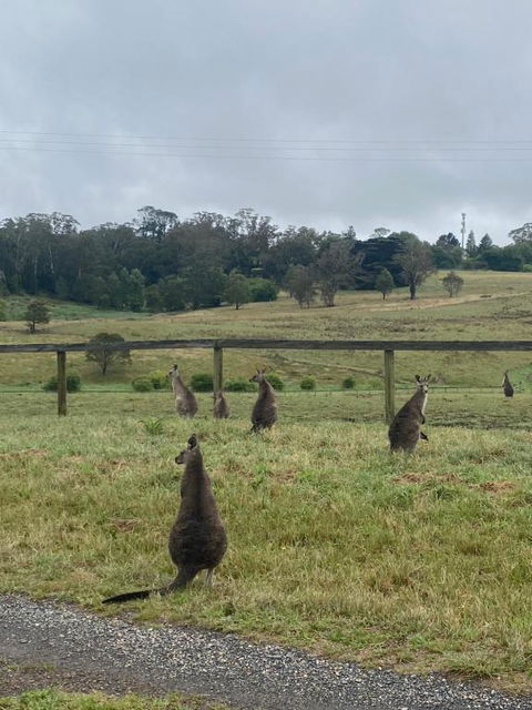 Private Country Escape With Valley Views - Accommodation NT 1