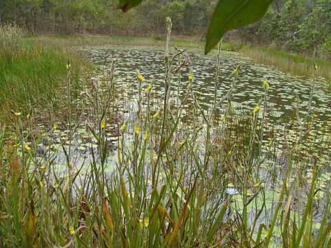 Back To The Bush - NT Tourism 3