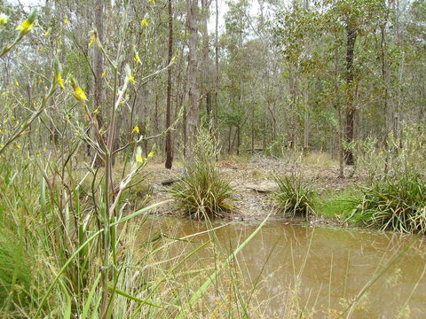 Back To The Bush - NT Tourism 2
