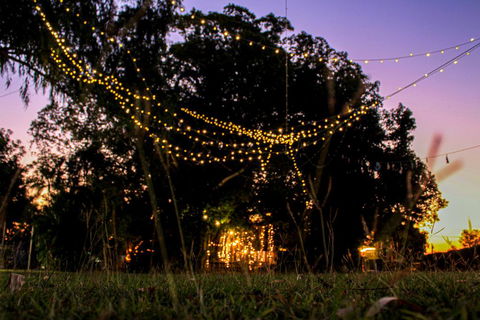 Banyan Tree - Accommodation NT 0