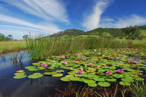 Barrington Hideaway- River Cottages - Accommodation NT 0