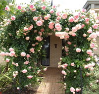 Baudins of Busselton Bed and Breakfast - NT Tourism
