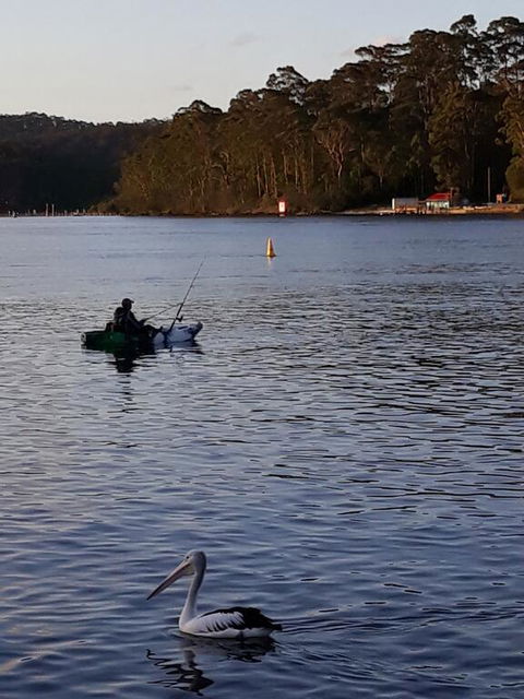 Bay Executive Motel - Accommodation NT 2